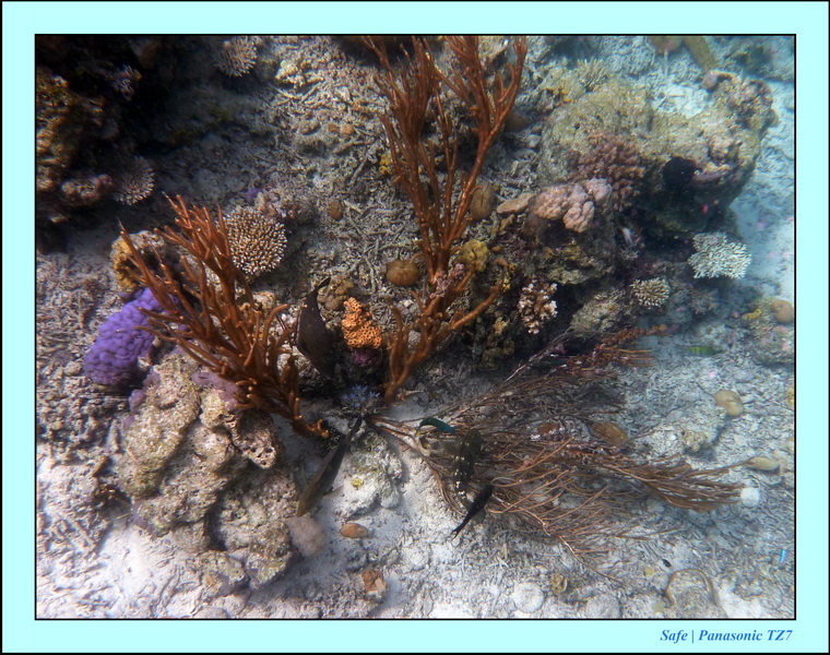 209   07   Sibuan 21